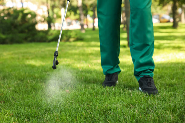 Best Bed Bug Extermination  in Lam, AR