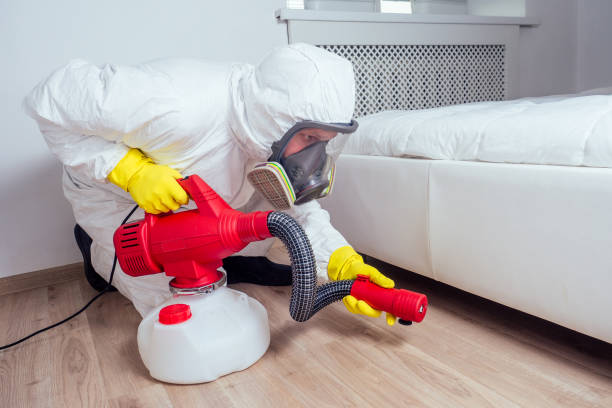  Lam, AR Pest Control Pros