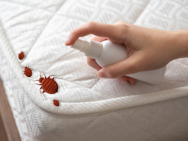 Lamar, AR Pest Control Company
