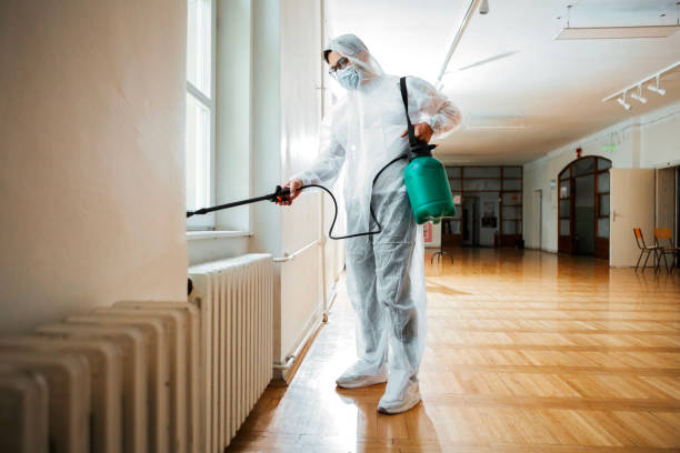 Best Affordable Pest Control Services  in Lam, AR