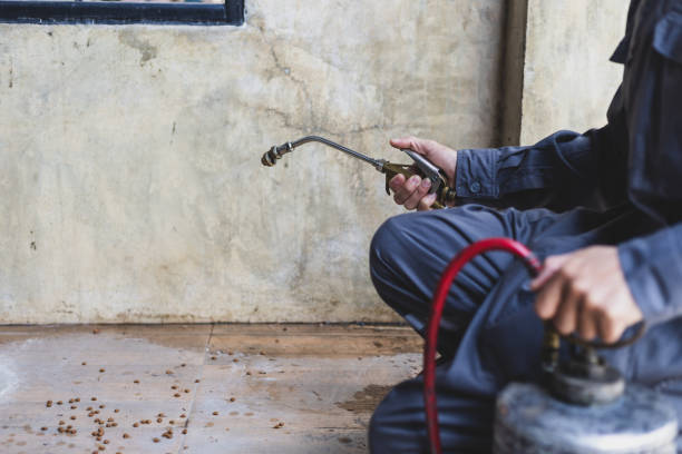 Best Termite Control Services  in Lam, AR